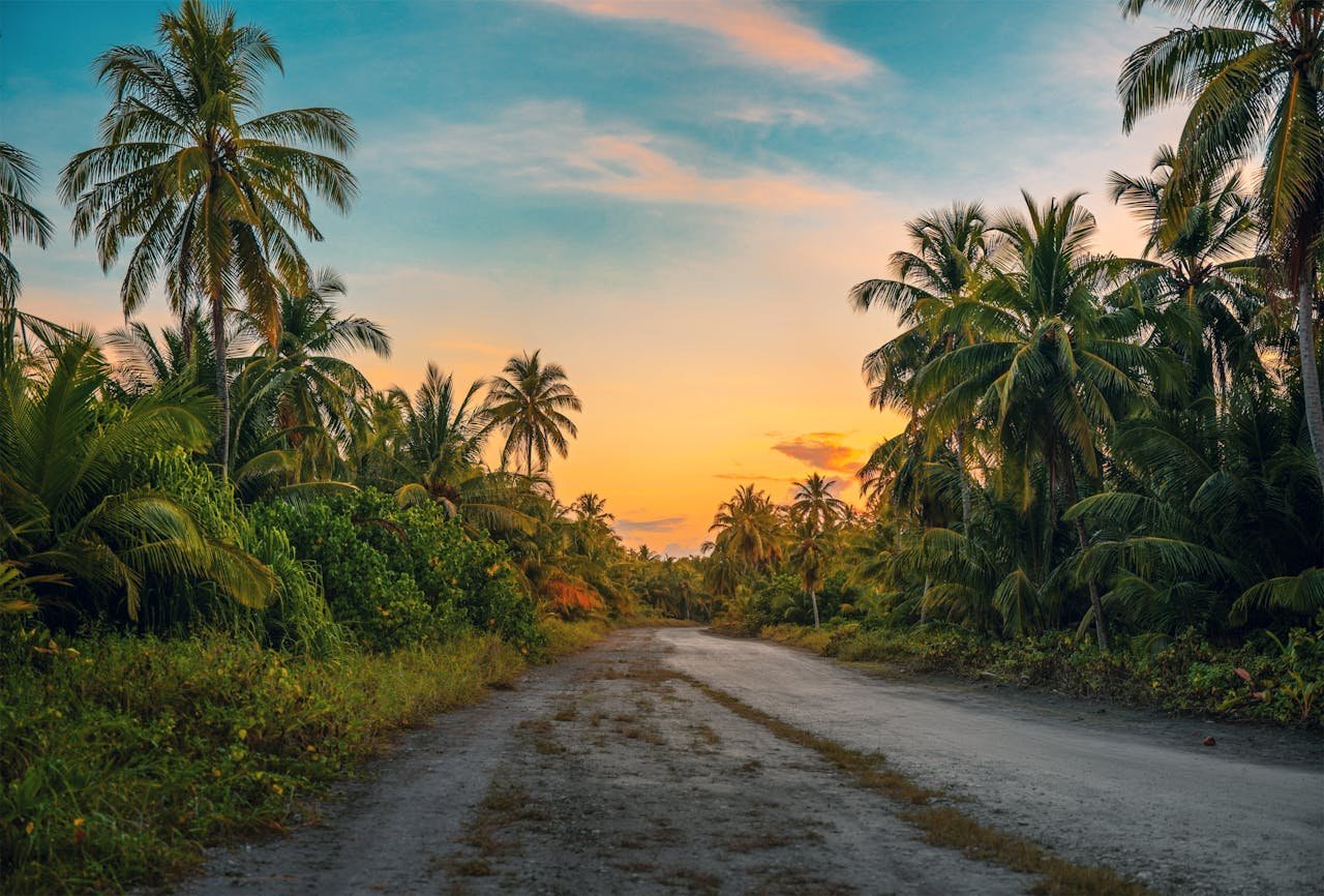 Serene tropical road in the Maldives with palm trees during sunset, emphasizing tranquility.