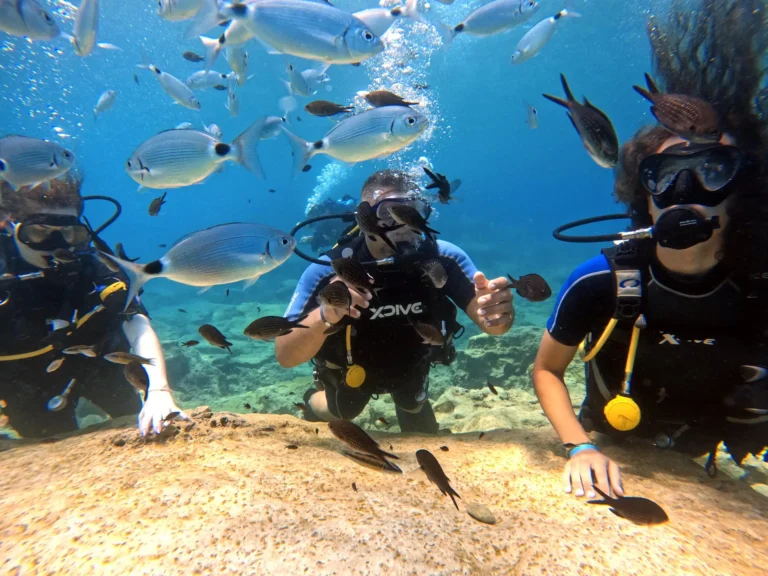 Divers exploring a vibrant underwater around Sunny Beach Bulgaria scene.